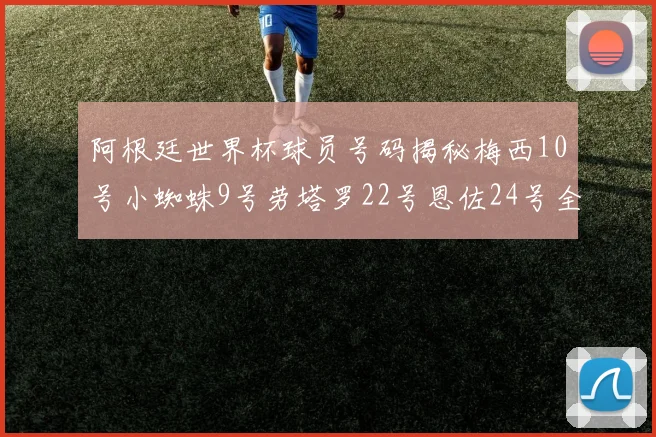 阿根廷世界杯球员号码揭秘梅西10号小蜘蛛9号劳塔罗22号恩佐24号全解析