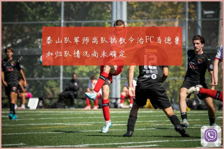 泰山队军师离队执教今治FC马德鲁加归队情况尚未确定