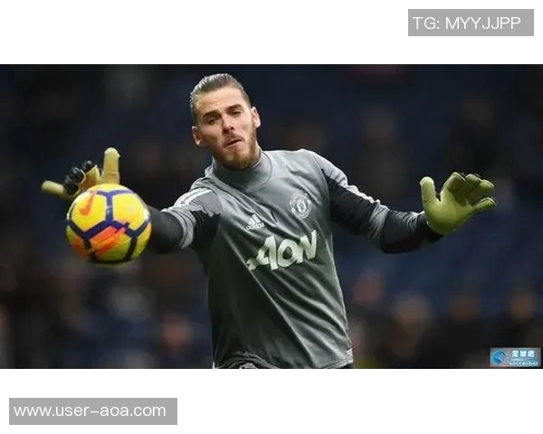 卡勒姆威尔逊谈绝杀事件认为门将保护过度强调身体接触的重要性